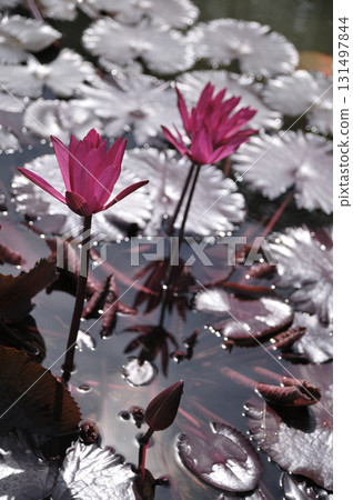 Hot autumn sweat Hot autumn sweat 131497844