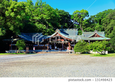 [Kagawa Prefecture] Kagawa Prefectural Gokoku Shrine (Kagawa Prefectural Gokoku Shrine) Sanuki Shrine and Haiden 131498423
