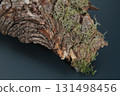 close up of the bark of a tree 131498456