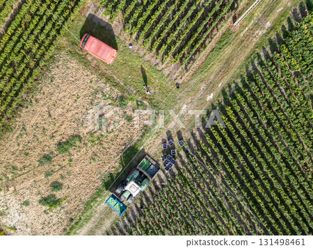 Trois-Puits, Reims, Marne, Grand-Est, France, August, 28th, 2025, Champagne Area, Aerial View of a Trois-Puits, Reims, Marne, Grand-Est, France, August, 28th, 2025, Champagne Area, Aerial View of a 131498461