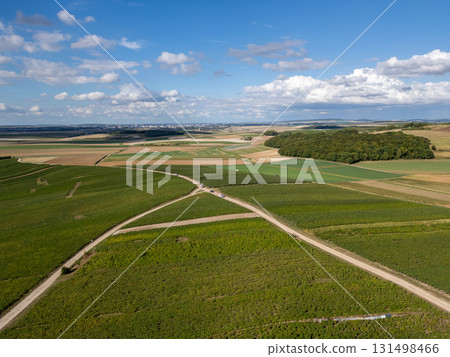 Trois-Puits, Reims, Marne, Grand-Est, France, August, 28th, 2025, Champagne Area, Stunning Aerial 131498466