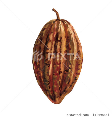 Cocoa pod watercolor illustration exotic tropical fruit cacao bean shell organic food art isolated on white background 131498661