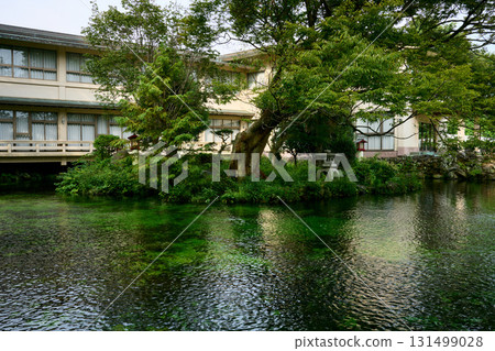 春天的春天池塘 春天的春天池塘 131499028