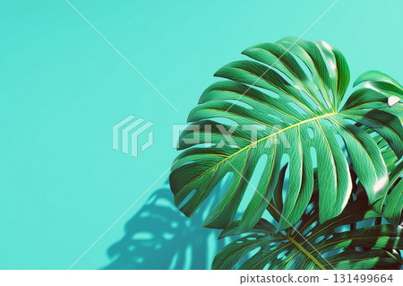 Monstera leaves and blue background | Tropical and refreshing design material that gives you a summer or resort feel 131499664