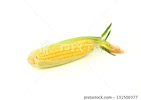 A corn cob is shown with its green husk still attached A corn cob is shown with its green husk still attached 131500377