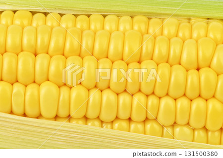 The yellow corn is sliced open revealing its insides 131500380