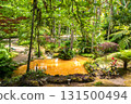 Terra Nostra Park in the Azores is a large botanical garden with a huge variety of plants and trees and with lakes, streams and a pool of volcanic origin 131500494