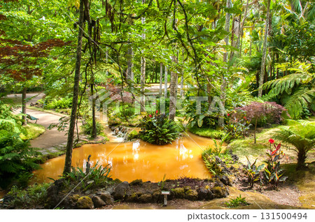 Terra Nostra Park in the Azores is a large botanical garden with a huge variety of plants and trees and with lakes, streams and a pool of volcanic origin 131500494