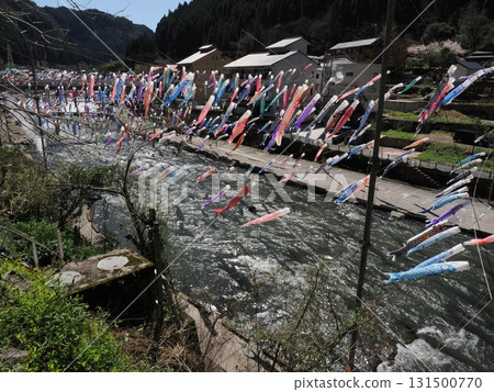 跨越河流的色彩－杖立溫泉、鯉魚旗的建造、村莊的風景 131500770