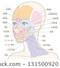 從斜角度看到的臉部肌肉和頸闊肌（無髮型/有名稱） 131500920