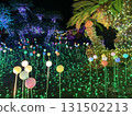 Izu Granpal Park: Illuminations of trees and round ornaments 131502213