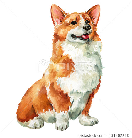 Watercolor Corgi Dog Illustration. Cute Pet Portrait of Welsh Pembroke Corgi, Fluffy Puppy Clipart, Dog Lover Art 131502268