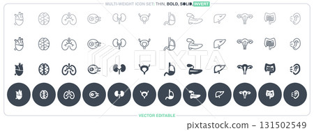 Human Organ 131502549