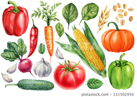 Watercolor Vegetables Set. Corn, Carrot, Tomato, Pumpkin, Cucumber, Peppers Chili and Spinach botanical Illustration 131502950