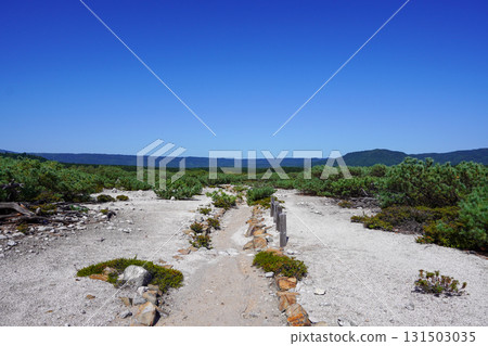 硫黃山週邊的杜鵑花原自然步道 131503035