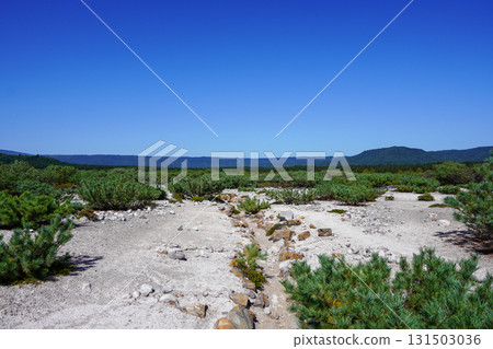 硫黃山週邊的杜鵑花原自然步道 131503036