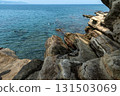 Okinoshima Cave, Tateyama City, Chiba Prefecture 131503069