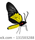 Majestic Rajah Brookes Birdwing Butterfly with Iridescent Yellow Markings. National Butterfly of Malaysia. Papilionidae Family Insect. Tropical Butterfly Illustration. Vector illustration 131503288