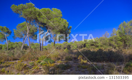 Peninsula de Llevant Natural Park, Spain Peninsula de Llevant Natural Park, Spain 131503395