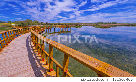 Tablas de Daimiel National Park, Spain Tablas de Daimiel National Park, Spain 131503466