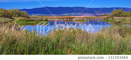 Tablas de Daimiel National Park, Spain Tablas de Daimiel National Park, Spain 131503469