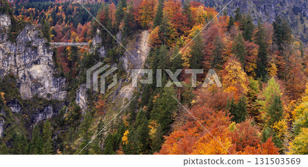 Marienbrucke, Neuschwanstein Castle, Fussen, Germany 131503569