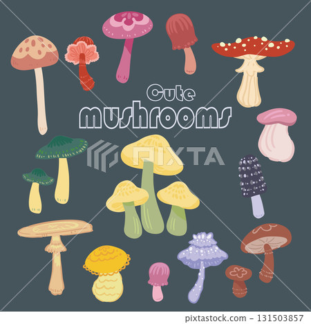 各種可愛有趣的蘑菇插圖 各種可愛有趣的蘑菇插圖 131503857
