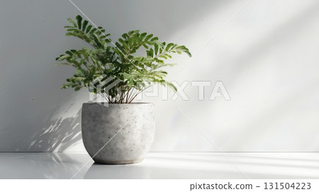 Green potted plant in a concrete pot against a bright minimal wall. Green potted plant in a concrete pot against a bright minimal wall. 131504223