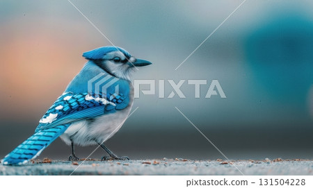Bright blue bird perched on a surface with blurred background. Bright blue bird perched on a surface with blurred background. 131504228