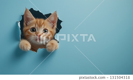 A ginger kitten with wide eyes peeking through a ripped hole in a pastel blue background, looking curious A ginger kitten with wide eyes peeking through a ripped hole in a pastel blue background, looking curious 131504318