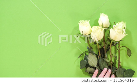 A person adjusts the placement of several white roses while preparing a bouquet. The stems are held upright and close together. A person adjusts the placement of several white roses while preparing a bouquet. The stems are held upright and close together. 131504319
