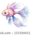 A graceful watercolor fish in shades of lilac and blue with flowing fins against a white background 131504431