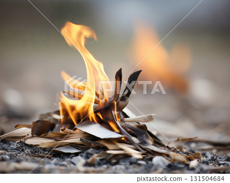 篝火中燃燒的樹枝和火焰的特寫鏡頭 131504684