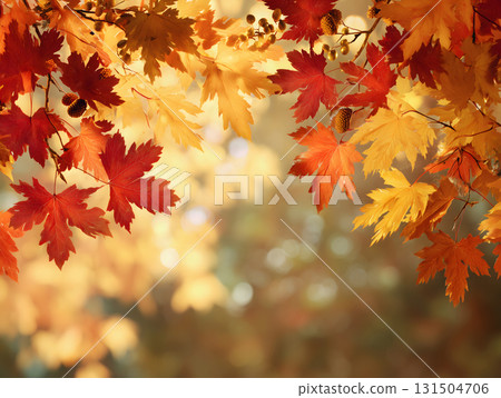 橙色和紅色楓葉的美麗秋日景象，背景為散景秋光 131504706