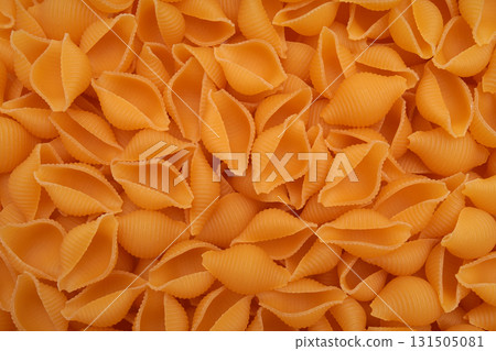 Dry conch shell pasta close-up. 131505081