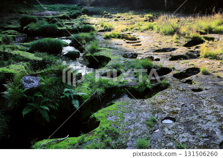 真正的米冠組 131506260