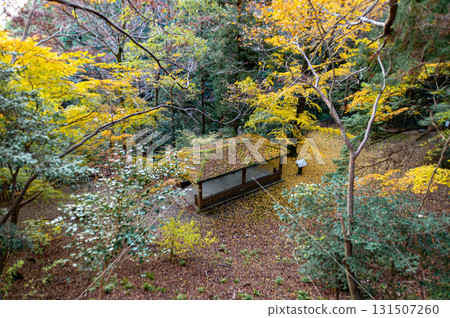 Shohoji Temple in Autumn 131507260
