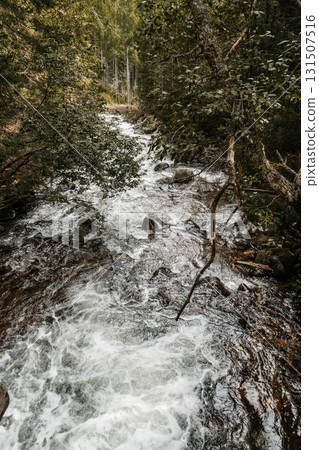 Mountain stream in forest with rocks scenic and peaceful nature 131507516