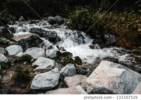 Mountain stream in forest with rocks scenic and peaceful nature Mountain stream in forest with rocks scenic and peaceful nature 131507526