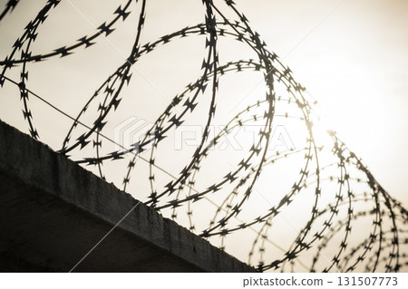 Silhouette of defensive fence with barbed wire on the top against sky with rising sun symbolizing freedom or captivity 131507773