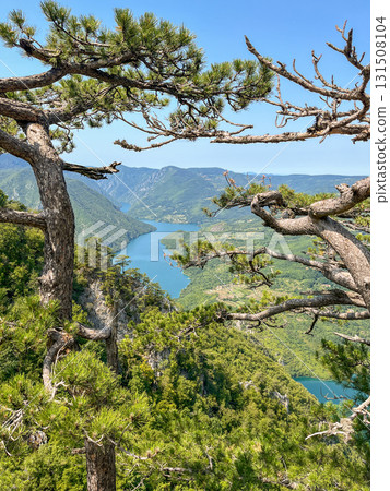 Canyon river meandering among green forested mountains; nature landscape photography under blue sky 131508104