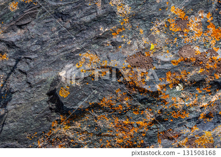 Rough textured sedimentary rock covered with vibrant lichen - texture and background Rough textured sedimentary rock covered with vibrant lichen - texture and background 131508168