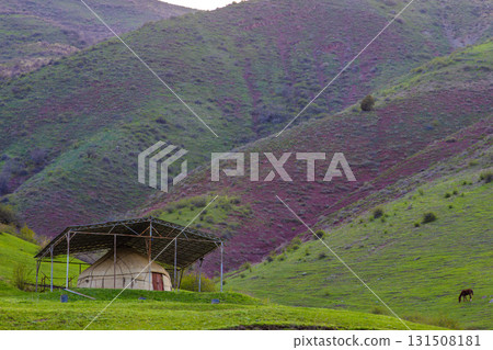 Horse grazing near yurt under metal shelter in peaceful mountainous grassland 131508181