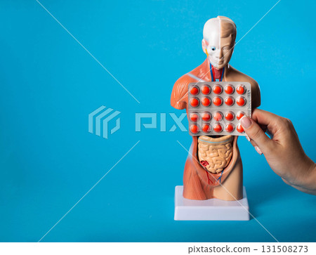 Blister with red pills on the background of the belly of a model of a person and a blue background. Concept of a pill for improving digestion and bloating. Pancreatic enzymes. Copy space for text 131508273