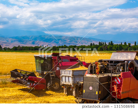 Combine harvesters working in rural wheat field with mountains Combine harvesters working in rural wheat field with mountains 131508698