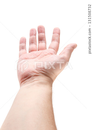 Male adult hand offering gesture in studio with white background 131508732