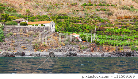 A tranquil coastal scene with a terraced hillside, stone wall, white houses. Madeira 131509169