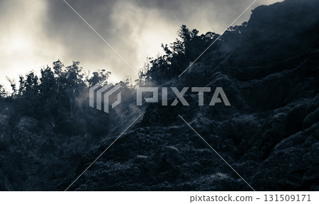 A moody bluish hillside scene features rugged rocks, a forest edge, and wisps of mist 131509171