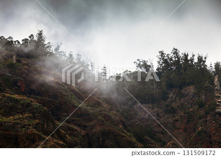 Dramatic fog drifts over a rugged forest at dawn, creating a moody landscape 131509172