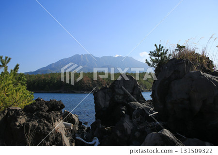 從熔岩海灘長廊眺望櫻島 131509322